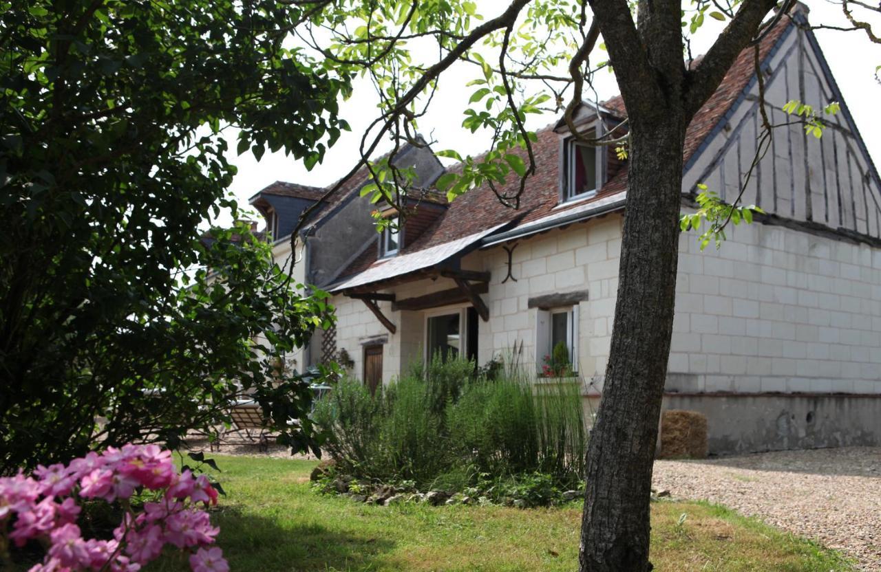 Berthenay Une Maison, Un Jardin מראה חיצוני תמונה