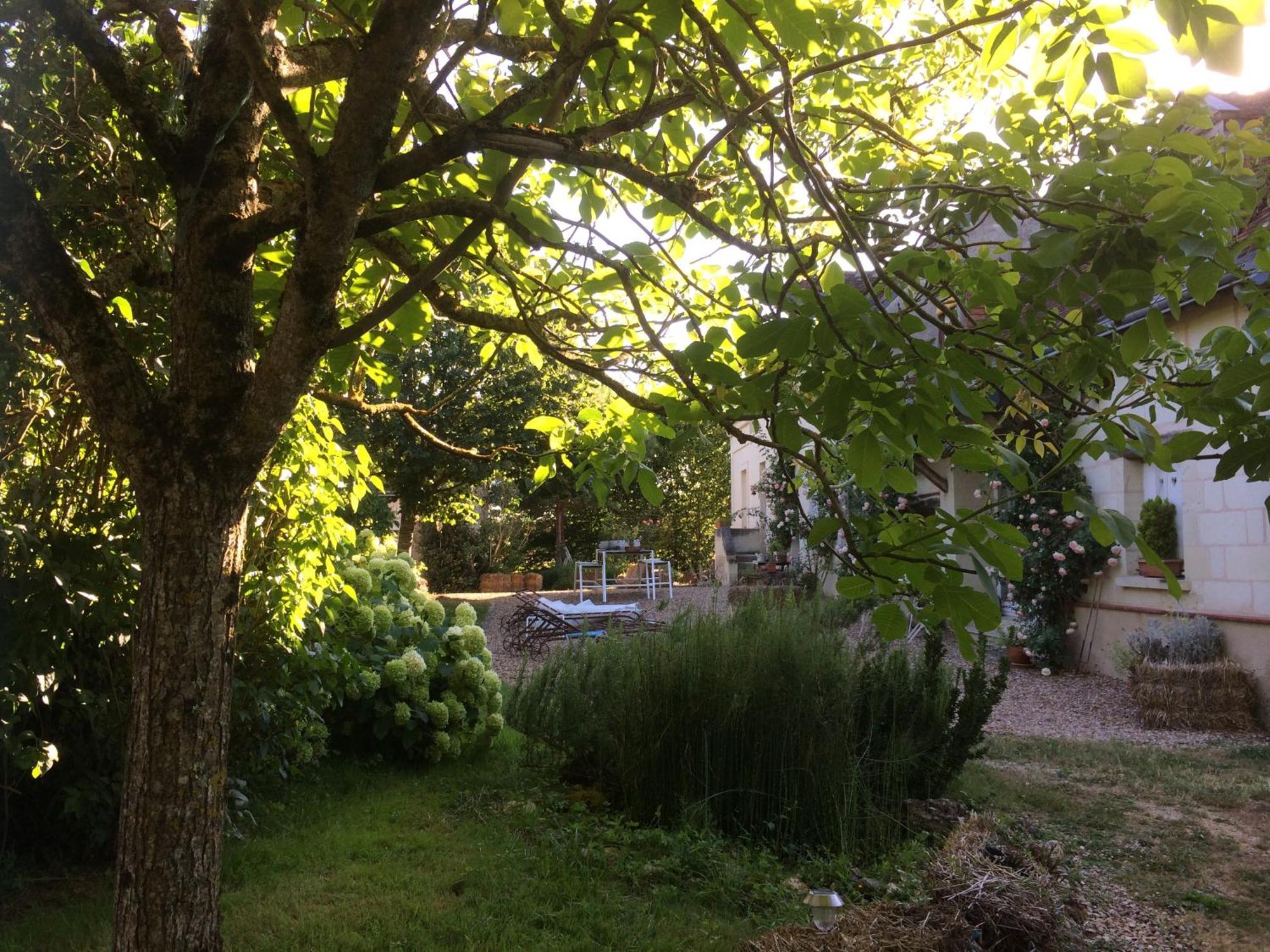 Berthenay Une Maison, Un Jardin מראה חיצוני תמונה