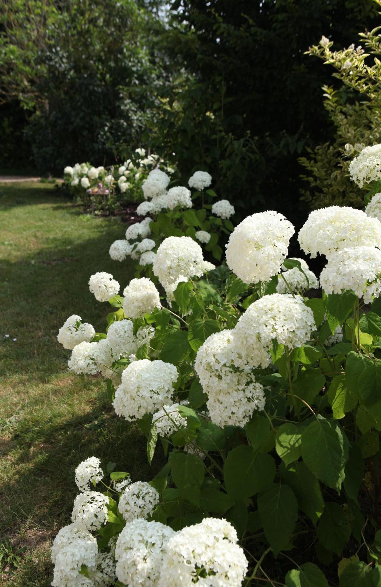 Berthenay Une Maison, Un Jardin מראה חיצוני תמונה