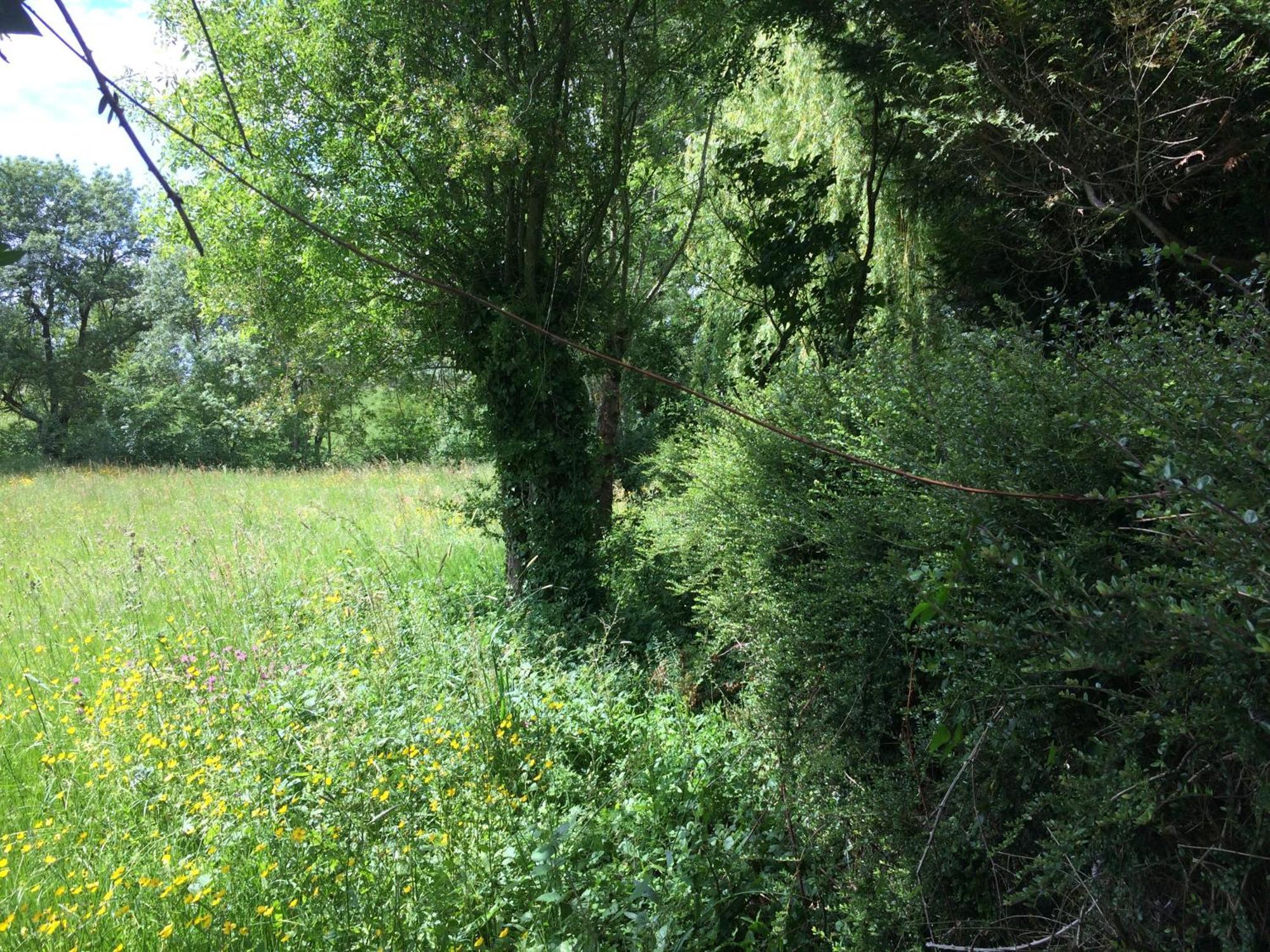 Berthenay Une Maison, Un Jardin מראה חיצוני תמונה