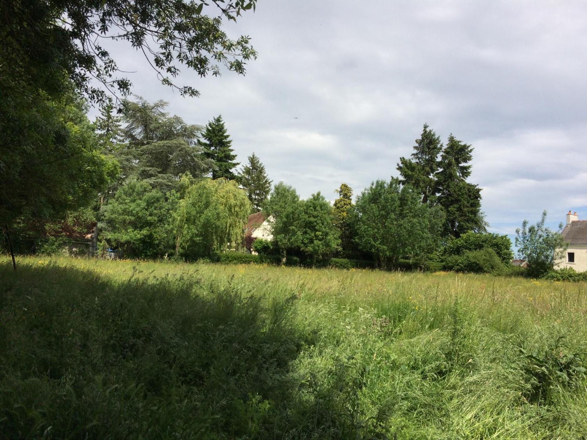 Berthenay Une Maison, Un Jardin מראה חיצוני תמונה