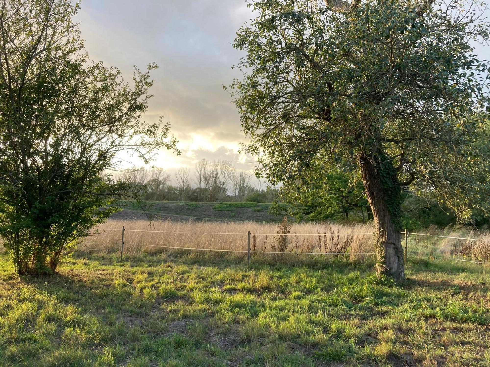 Berthenay Une Maison, Un Jardin מראה חיצוני תמונה